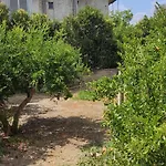 Garden House