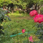 Casa vacanze Garden House Amarynthos