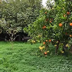 Σπίτι διακοπών Garden House *