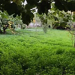 Garden House Σπίτι διακοπών *