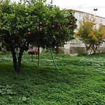 Tatil Evi Garden House