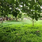Garden House Σπίτι διακοπών Αμάρυνθος