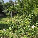 Garden House * Amarynthos
