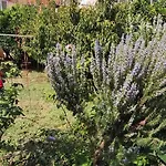 Garden House Σπίτι διακοπών