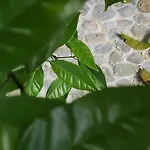 Casa vacanze Garden House