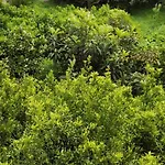Garden House * Αμάρυνθος
