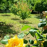 בית נופש Garden House