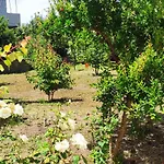 בית נופש Garden House