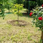 Garden House בית נופש אמרינתוס