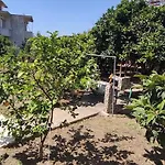 Garden House בית נופש *