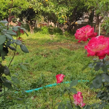 Feriehus Garden House Amarynthos