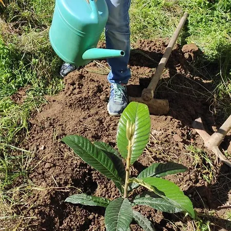Garden House Feriehus *