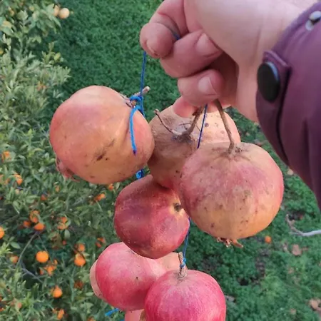 Garden House Feriehus