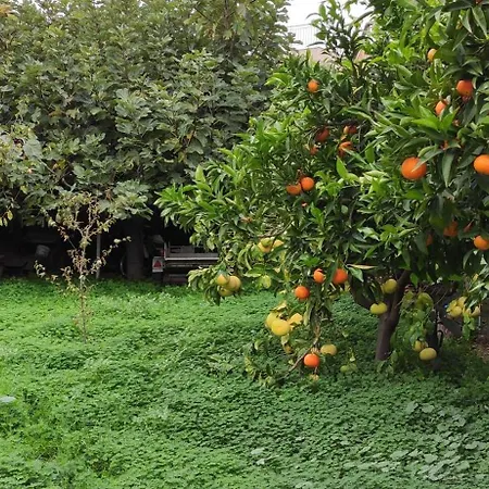 Feriehus Garden House *