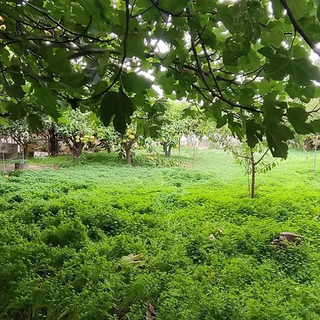 Garden House Feriehus Amarynthos
