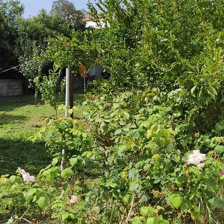 Garden House * Amarynthos