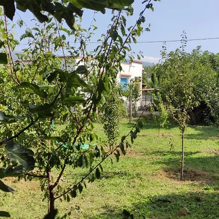 Garden House Amarynthos