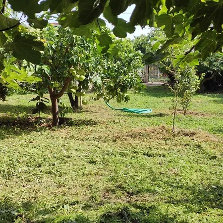 Garden House Feriehus