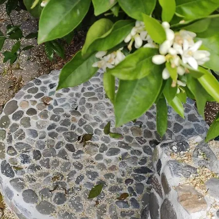 Garden House Amarynthos