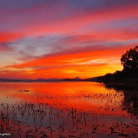 Feriehus Garden House