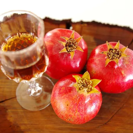 Feriehus Garden House *