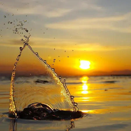 Garden House Feriehus