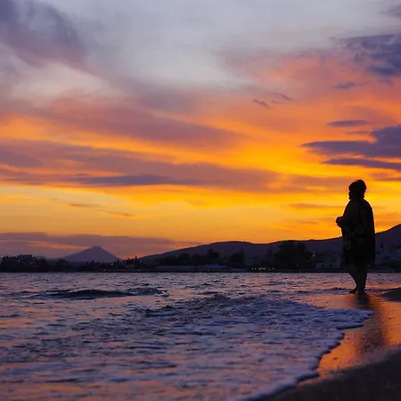 Feriehus Garden House *