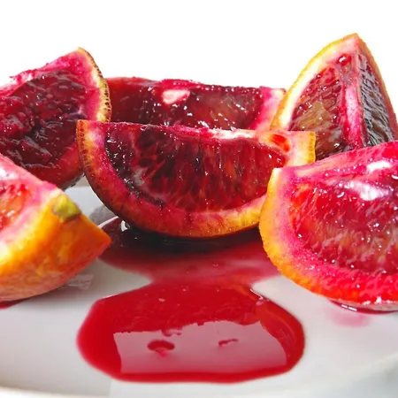 Garden House Feriehus *