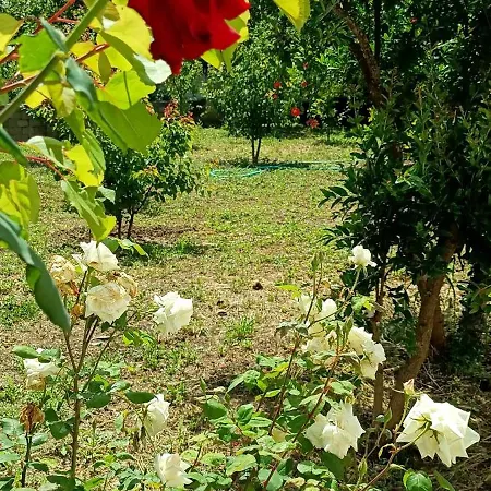Garden House Amarynthos