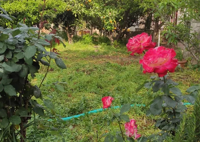 Hébergement de vacances Garden House Amarynthos