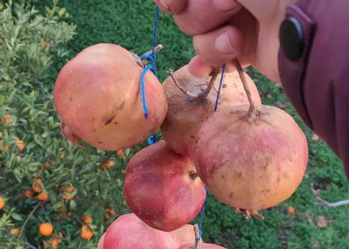 Garden House Hébergement de vacances