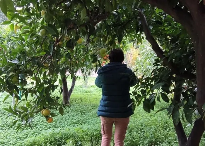 Hébergement de vacances Garden House Amarynthos