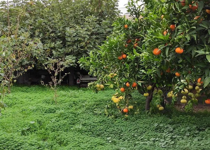 Hébergement de vacances Garden House *