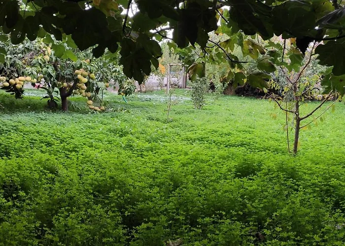 Garden House Hébergement de vacances *