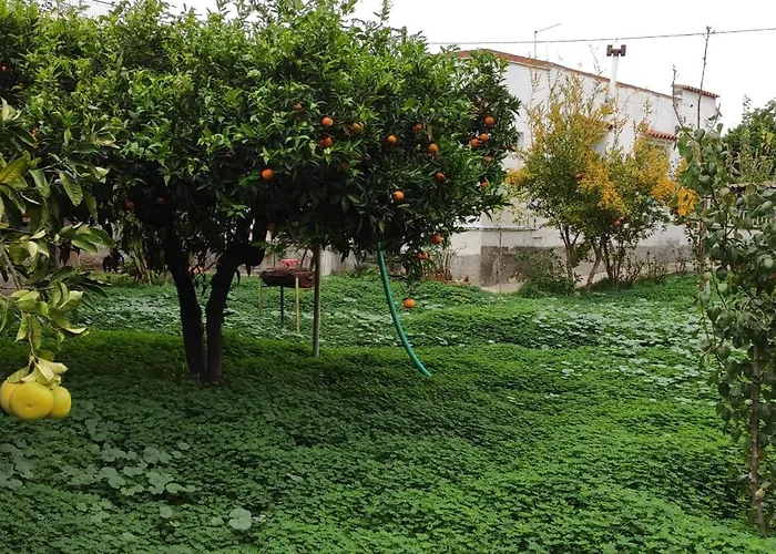 Hébergement de vacances Garden House