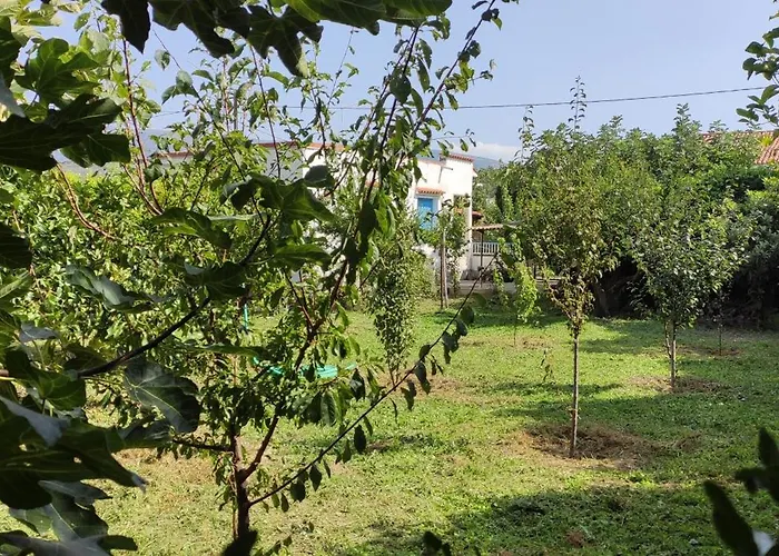 Garden House Amarynthos