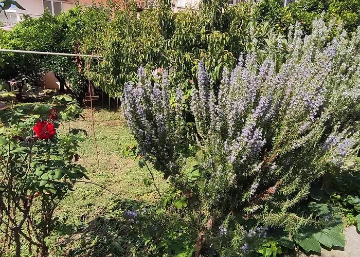 Garden House Hébergement de vacances