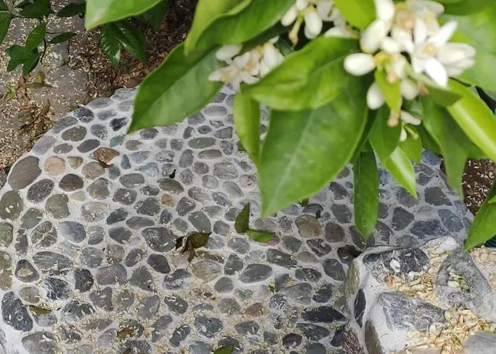 Garden House Amarynthos