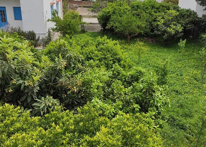 Hébergement de vacances Garden House