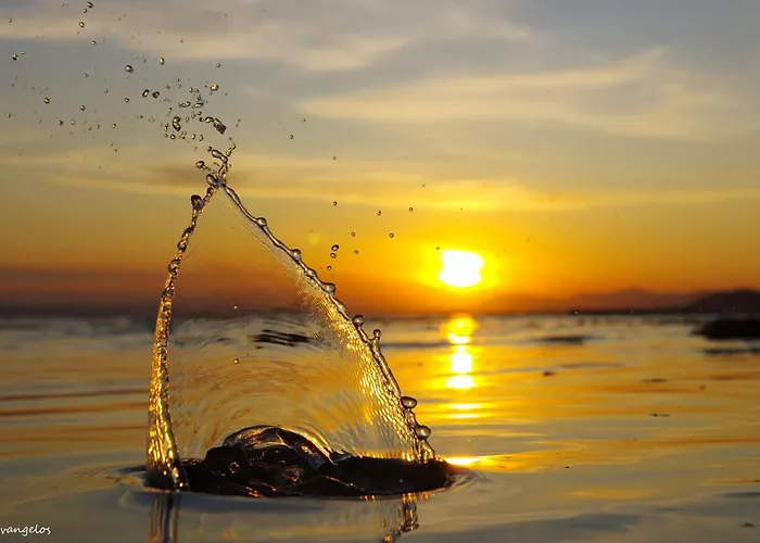 Garden House Hébergement de vacances