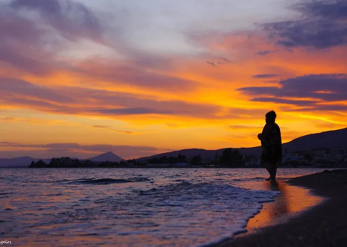 Hébergement de vacances Garden House *